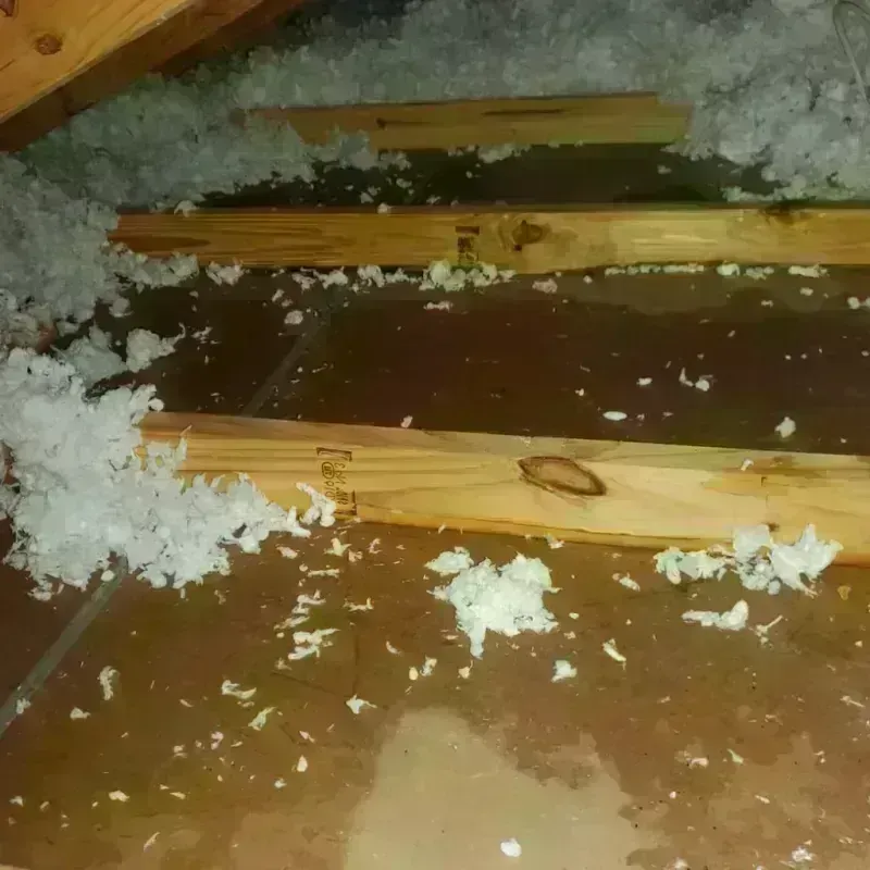 Attic Water Damage in Hildebran, NC